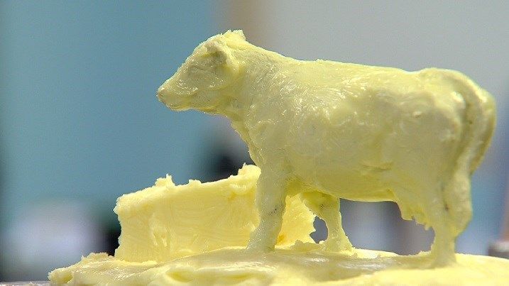 The St. John's mini butter cow