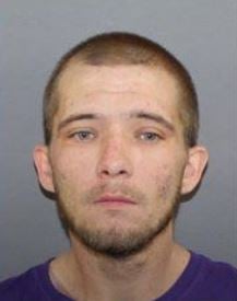 Man wanted on felony charges captured in Charleston