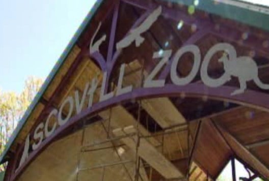 Scovill Zoo holding Zoo Buddies classes