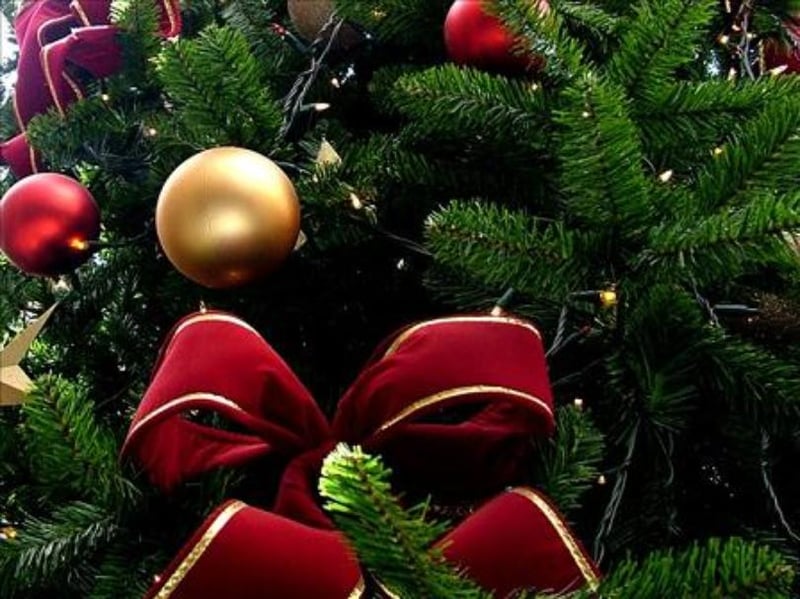 tickets on sale for heritage and holly historical home tour - This Christmas I Ll Burn It To The Ground tickets on sale for heritage and holly historical home tour - This Christmas I Ll Burn It To The Ground