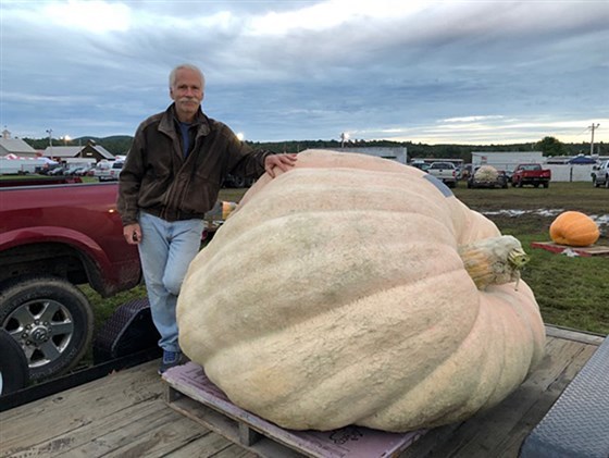 world-record-pumpkin-grown-by-ron-wallace-in-2012-weighed-in-at-2009