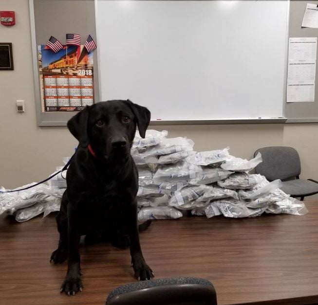 Photo: Knox Co. Sheriff's Office Photo: Knox Co. Sheriff's Office