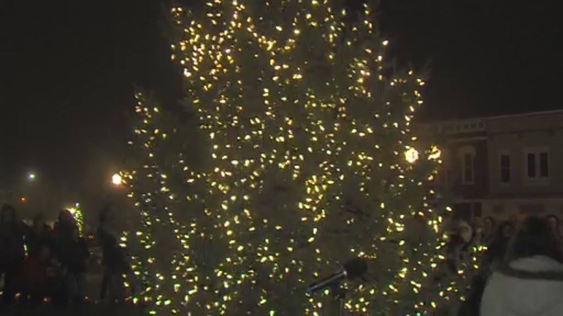 Sullivan celebrates its first tree lighting ceremony